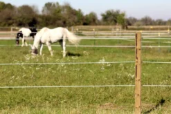 AKO TopLine Horse Wire