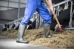 Bekina Sicherheitsstiefel S5 Agrilite®