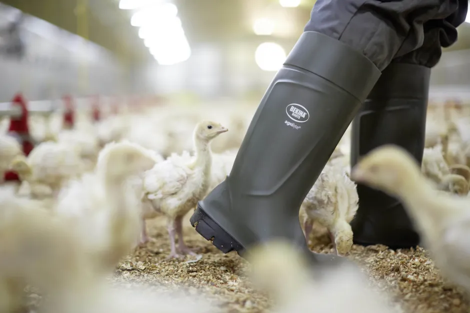 Bekina Sicherheitsstiefel S5 Agrilite®