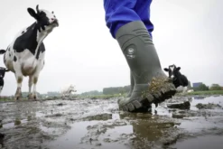 Bekina Sicherheitsstiefel S5 Steplite® Thermoprotec