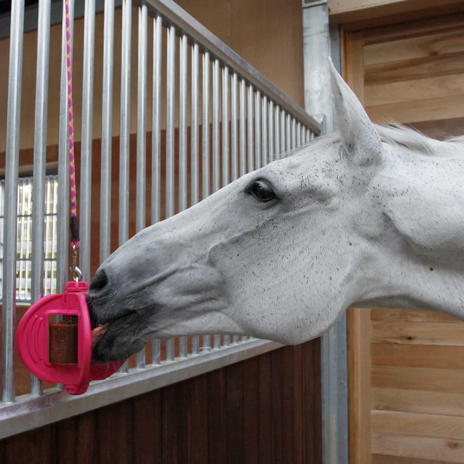 BIZZY HORSE Ball