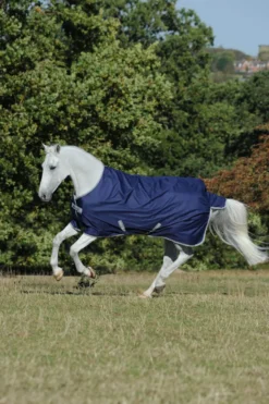 BUCAS Pferdedecke Freedom Turnout 300 g