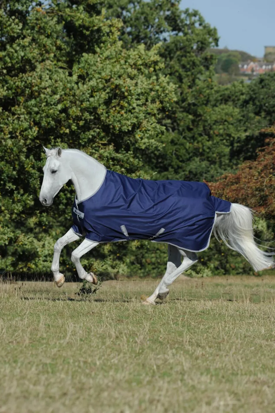 BUCAS Pferdedecke Freedom Turnout 300 g