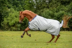 BUCAS Pferdedecke Power Turnout Light, stay-dry Futter