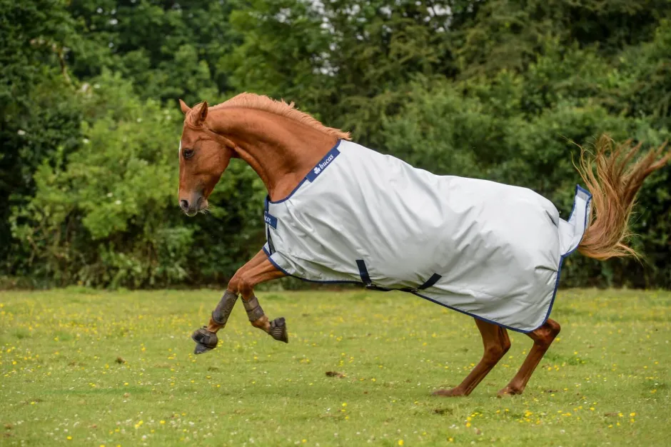 BUCAS Pferdedecke Power Turnout Light, stay-dry Futter