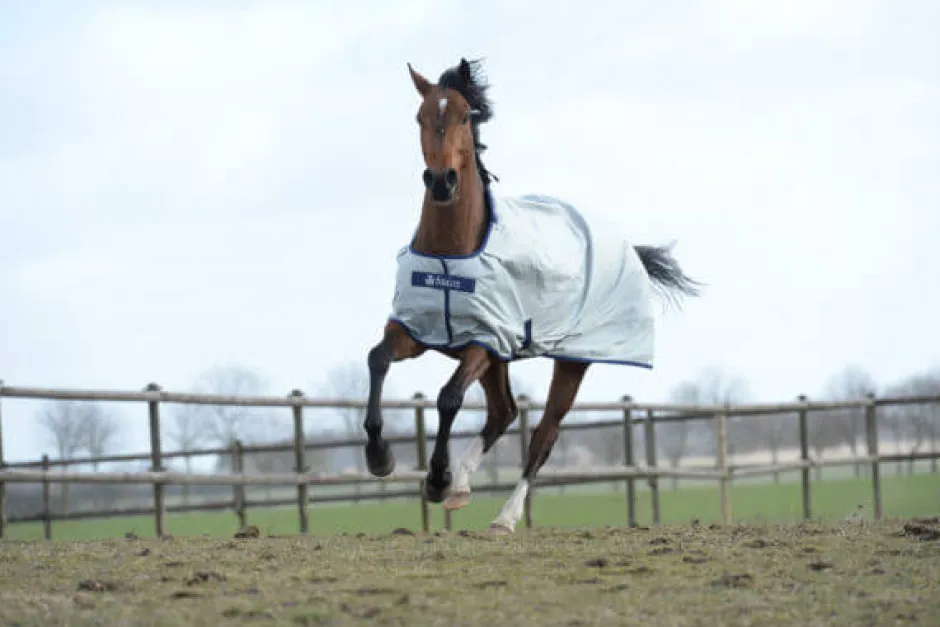BUCAS Pferdedecke Power Turnout Light, stay-dry Futter