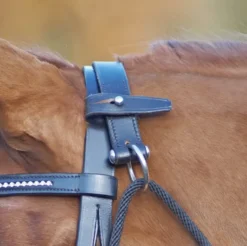 BUSSE Chambon BASIC, Vollblut/Warmblut, schwarz/silber