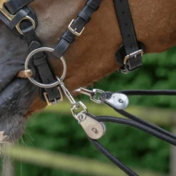 BUSSE Doppellonge SOFT-UMLENKROLLEN Biothane