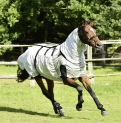 BUSSE Ekzemerdecke STRONG