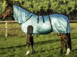 BUSSE Ekzemerdecke STRONG