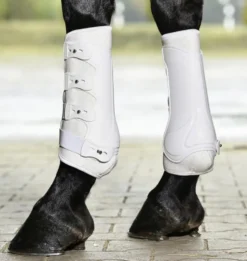 BUSSE Gamaschen DRESSAGE-PRO