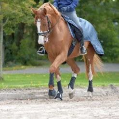 BUSSE Gamaschen DRESSAGE-PRO