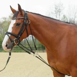 BUSSE Gogue BASIC, Vollblut/Warmblut, schwarz/vernickelt