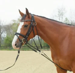 BUSSE Gogue BASIC, Vollblut/Warmblut, schwarz/vernickelt