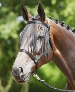 BUSSE Halfter WEIDE-FRANSEN