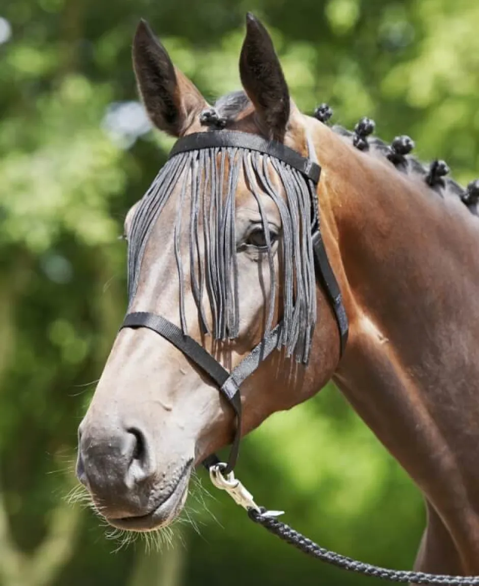 BUSSE Halfter WEIDE-FRANSEN