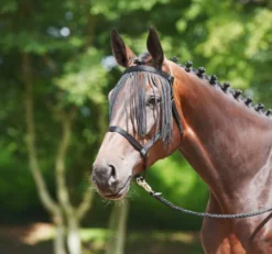 BUSSE Halfter WEIDE-FRANSEN