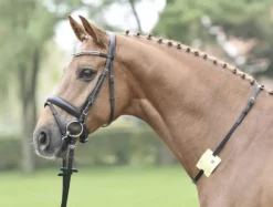 BUSSE Halsriemen REITKENNZEICHEN
