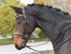 BUSSE Kandare LUXURY
