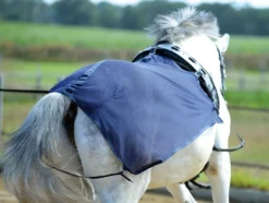 BUSSE Longierdecke FLY