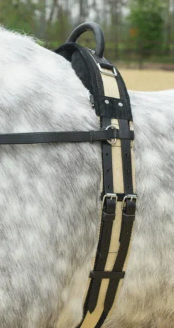BUSSE Longiergurt mit Handgriff