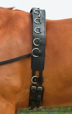BUSSE Longiergurt PROFESSIONAL-LEDER
