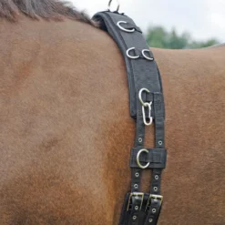 BUSSE Longiergurt PROFI-SOFT