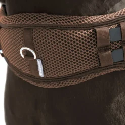 BUSSE Sattelgurt 3D AIR EFFECT-DRESSUR mit D-Ring