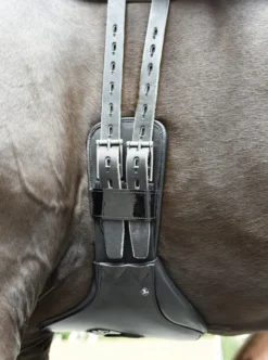 BUSSE Sattelgurt LAURENZA-DRESSUR, elastisch