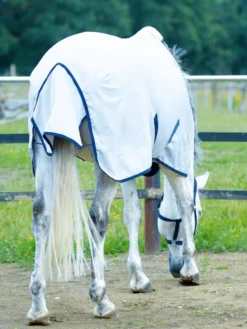 BUSSE Sommerdecke EARLY SEASON