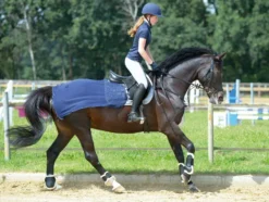 BUSSE Trainingsdecke FLY