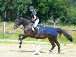 BUSSE Trainingsdecke FLY