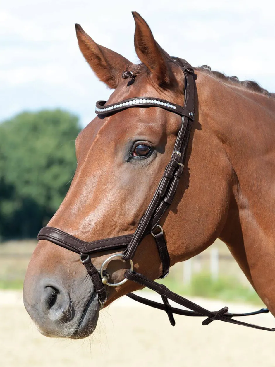 BUSSE Trense EMOTION