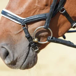 BUSSE Trense EMOTION