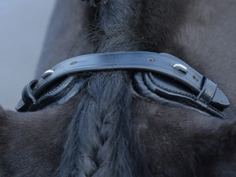 BUSSE Trense EMOTION