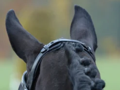 BUSSE Trense EMOTION
