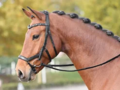 BUSSE Trense FEELING