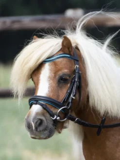 BUSSE Trense LITTLE