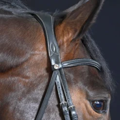 BUSSE Trense TAKE-OFF LINE AS
