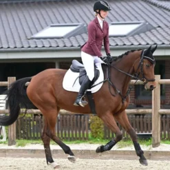BUSSE Turnier-Sakko FLORENZ