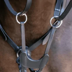 BUSSE Vorderzeug IMOLA II