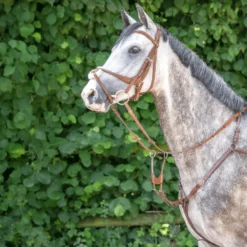BUSSE Vorderzeug IMOLA II