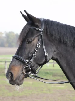 BUSSE Wanderreittrense SOLIBEL