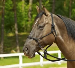 BUSSE WILDHORN Knotenhalfter RINGE