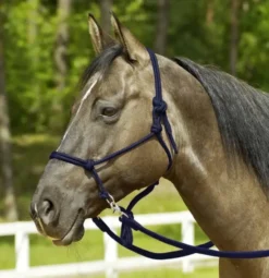 BUSSE WILDHORN Knotenhalfter RINGE