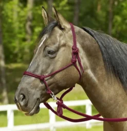 BUSSE WILDHORN Knotenhalfter RINGE