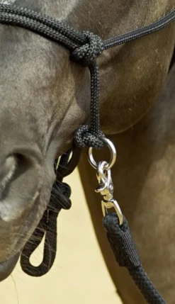 BUSSE WILDHORN Knotenhalfter RINGE