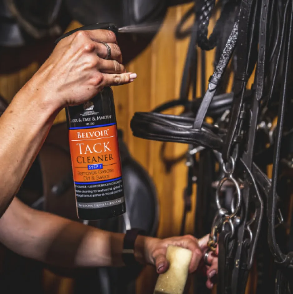 CARR & DAY & MARTIN Belvoir® Reinigungsspray