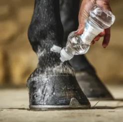 CARR & DAY & MARTIN - Daily Hoof Barrier Cornucrescine - Huföl