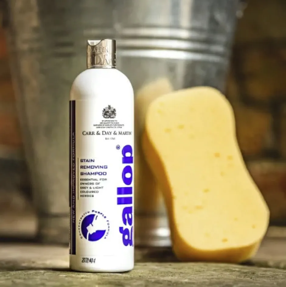 CARR & DAY & MARTIN Entwirrungsshampoo Gallop®